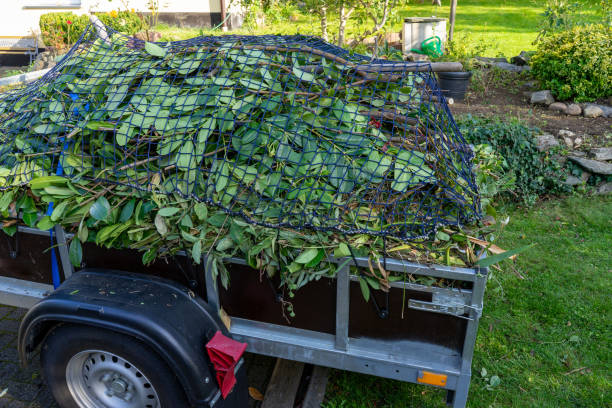 Same-Day Junk Removal Services in Sheffield, IA